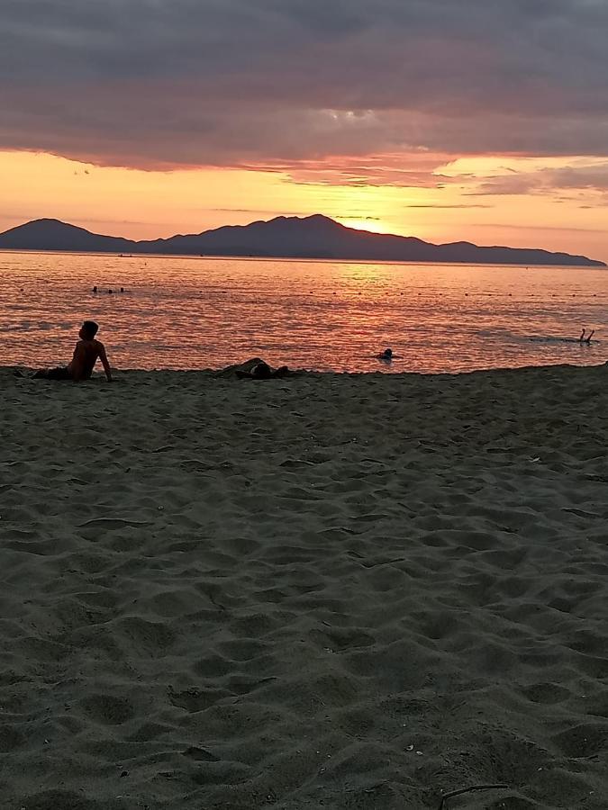 Pearl Beach Homestay ฮอยอัน ภายนอก รูปภาพ